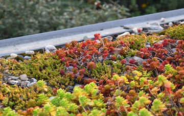 the cost of Abbotswood green roof installation