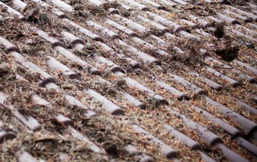 Abbotswood roof cleaning companies